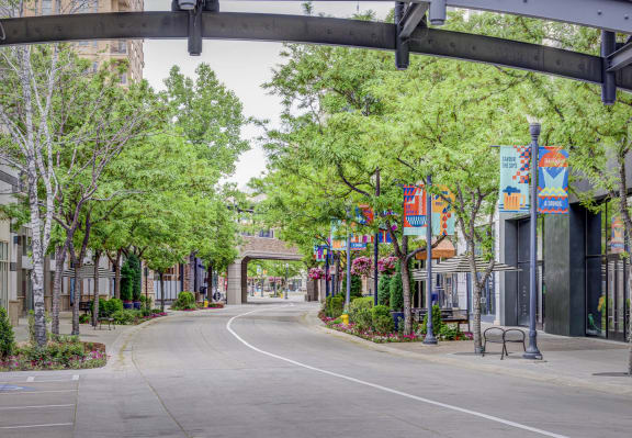 a street in a town with a road and trees