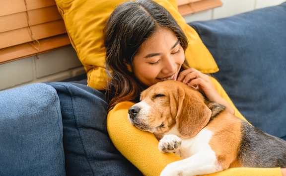A woman is cuddling with a beagle on a blue couch.
