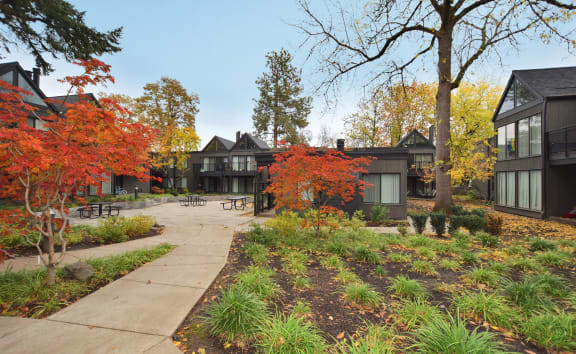 Timberwood courtyard