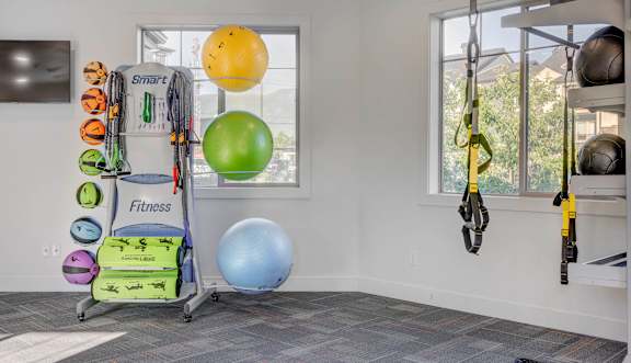 A fitness room with a Smart Fitness rack and exercise balls.