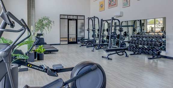 A room with a bench, exercise balls, and a mirror.