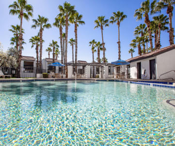 Pool at Townhomes on the Park in Phoenix Arizona 2023