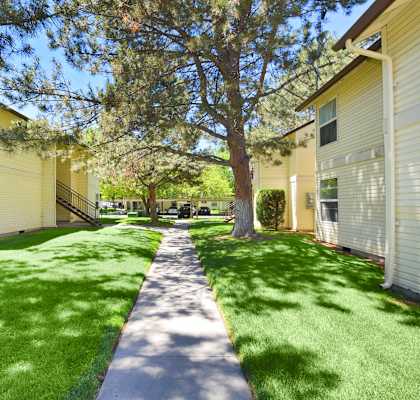 A sunny day at a residential area with a pathway and green grass.