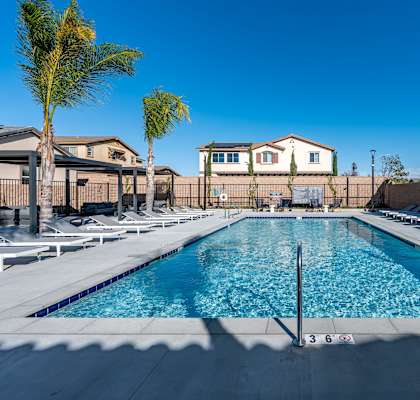 A large swimming pool surrounded by palm trees and lounge chairs.