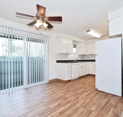 The Firs: living room with a large window and a ceiling fan