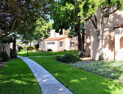 shady walking paths between buildings