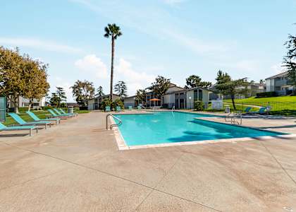 A large swimming pool surrounded by lounge chairs and palm trees.