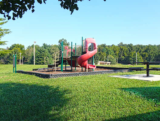 a playground with a slide in a park