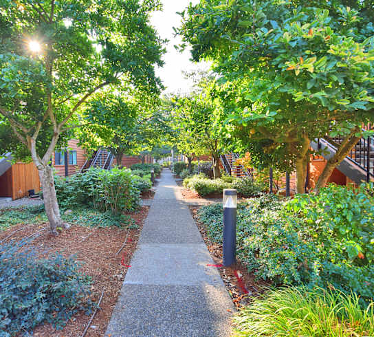 Fountain Park walkway