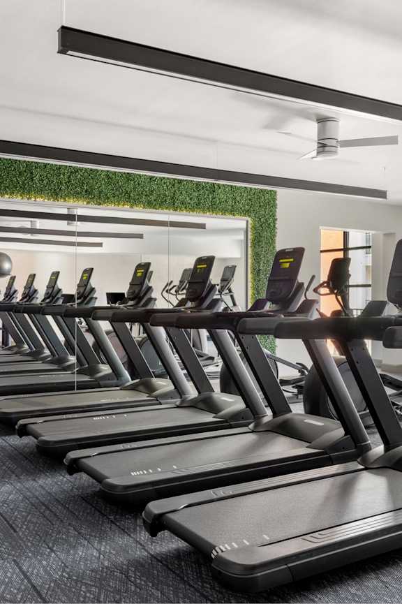 A gym with treadmills and a green wall.
