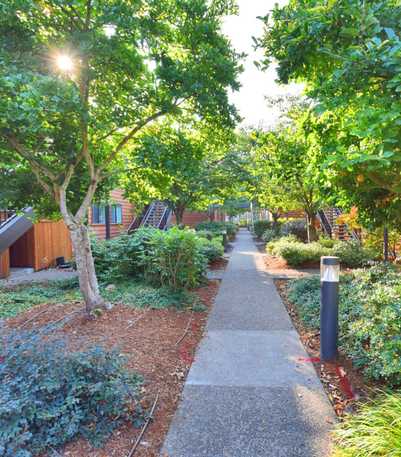 Fountain Park walkway