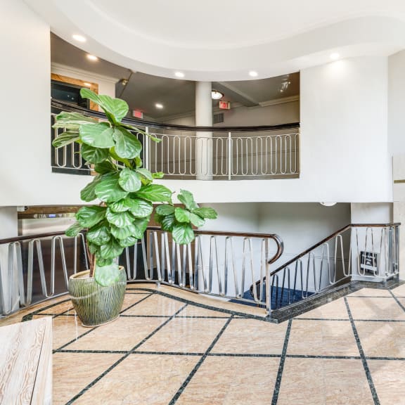 the entrance to a building with a staircase and a plant