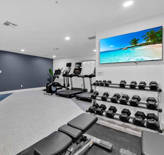 the gym with weights and cardio equipment at AVIA Lofts on Liberty Ridge, Jacksonville, FL, 32256