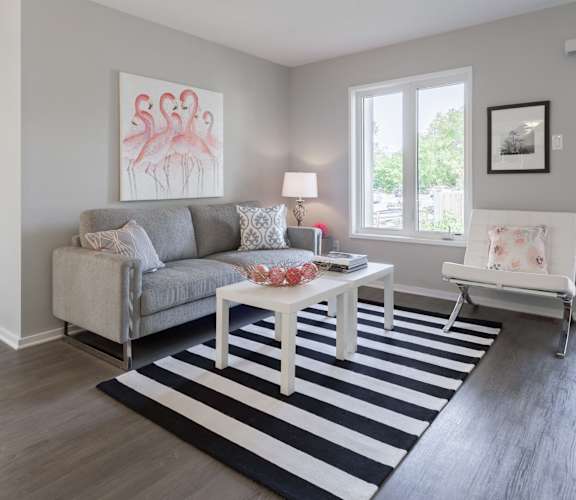 A living room with a grey couch, a white coffee table, and a black and white striped rug.