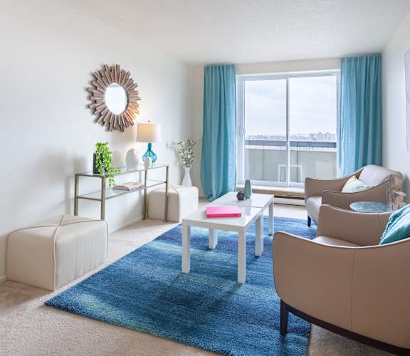 A living room with a blue rug and a white sofa.