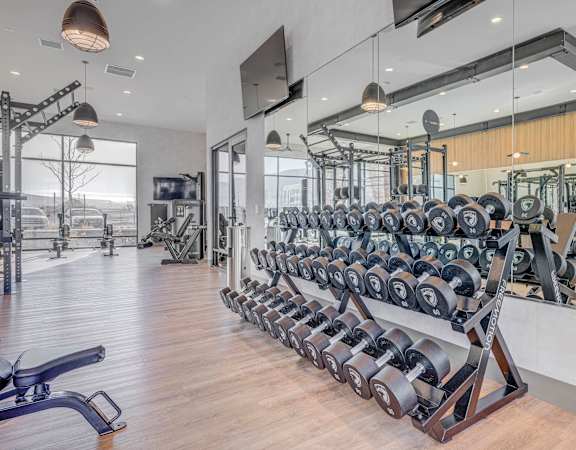the gym is equipped with weights and cardio equipment