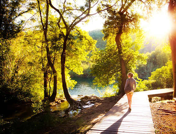 A woman is walking on a wooden path in a sunny forest.