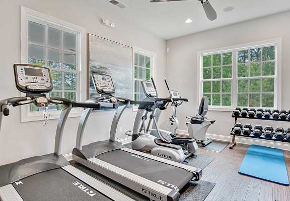the gym is equipped with treadmills and other exercise equipment