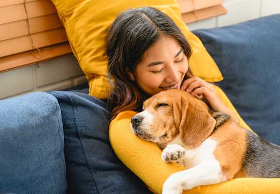 A woman is cuddling with a beagle on a blue couch.