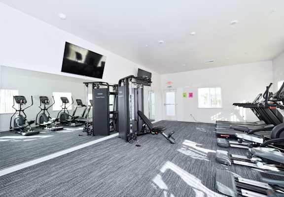 the gym at the flats at big tex apartments