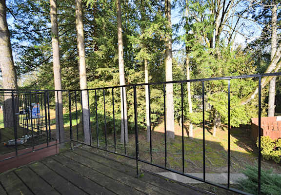 a view of the backyard from the deck