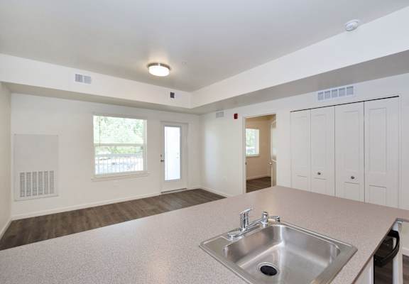 a kitchen with a sink and a counter top