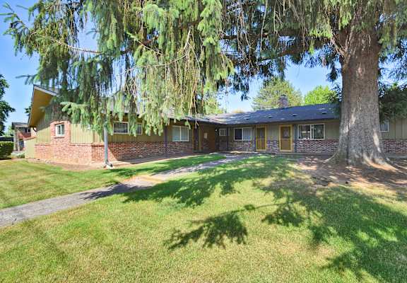 a home with a large tree in front of it