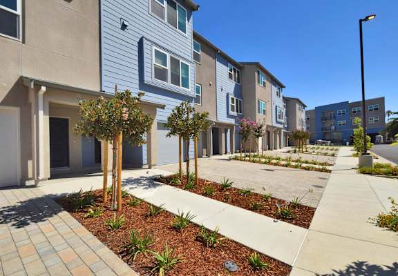 our apartments offer a community of homes for rent