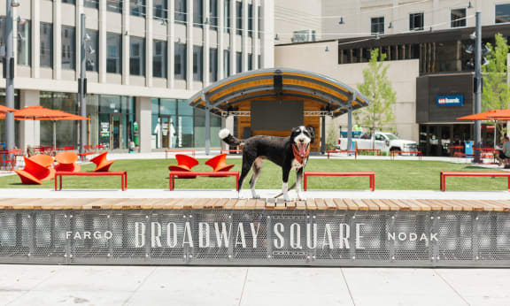 A dog standing on top of a monument in front of a building at Kesler Apartments in Downtown Fargo, Fargo, ND 58102