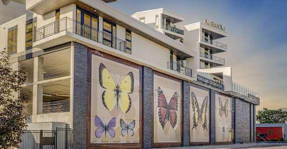 A building with a mural of butterflies on its side.