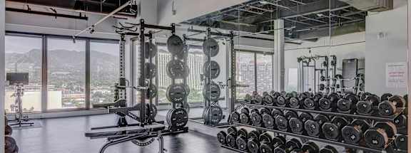 a view of the city from the gym
