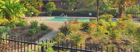 Fountain Park pool