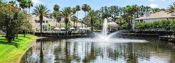 A fountain in the middle of a lake surrounded by palm trees.