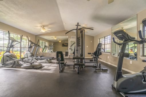 Fitness Center at Laurel Oaks Apartments in Tampa, FL