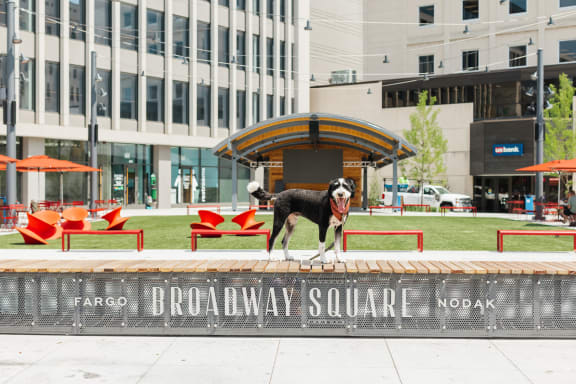 A dog standing on top of a monument in front of a building at Kesler Apartments in Downtown Fargo, Fargo, ND 58102