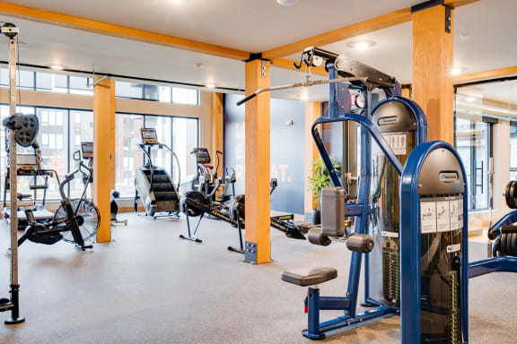 a gym with a lot of exercise equipment
