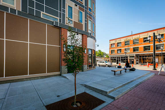 A tree in a planter sits in front of a building with a brown wall.