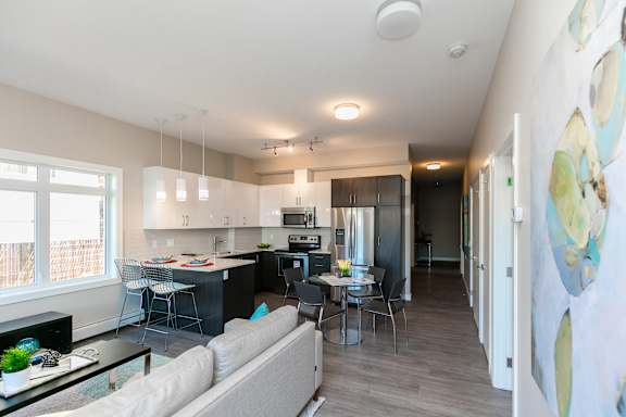 A modern open plan living and kitchen area with a grey sofa.