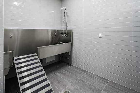a bathroom with a shower and a sink