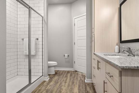 A bathroom with a walk-in shower, toilet, and sink.