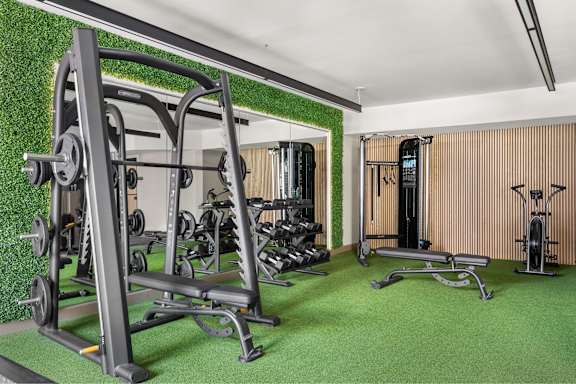A gym with a green wall and a variety of equipment.