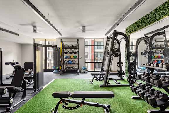 A gym with a green wall and a variety of equipment.