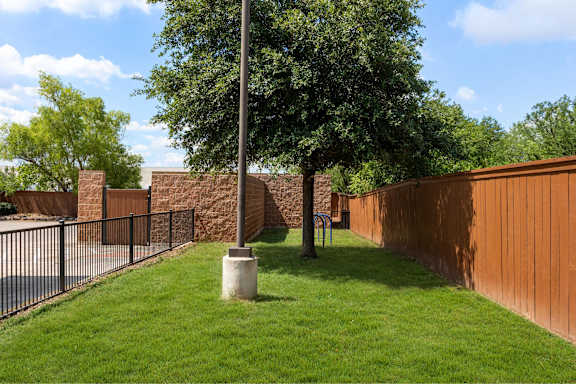 A tree stands next to a pole in a grassy area.