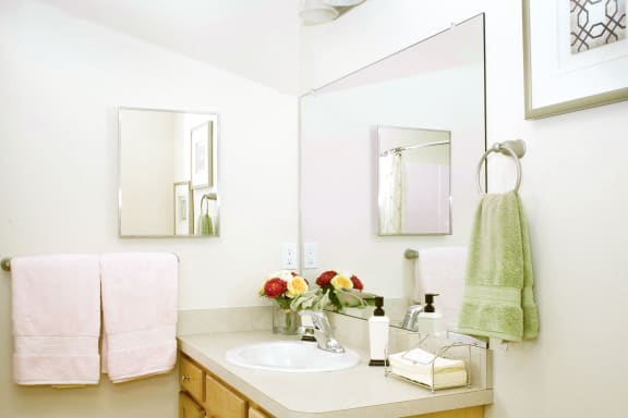 Medina OH Apartment Rentals Redwood Blackberry Trails Of Montville Green Ash Trail Standard Bath