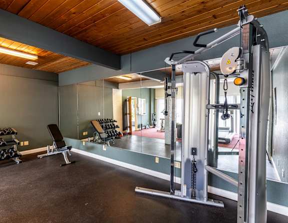 A gym with a variety of equipment including a squat rack, bench, and weights.