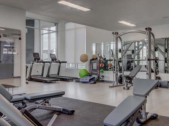 A gym with a variety of equipment including treadmills, weights, and a bench press.