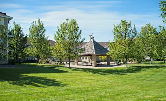 A green grassy field with a pavilion and trees in the background.