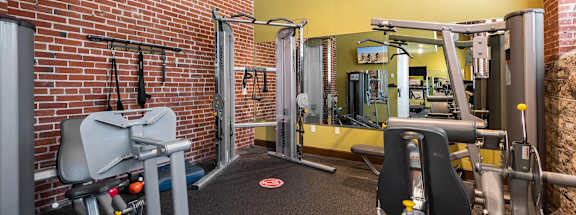 a gym with weights and a brick wall