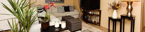 Living at Westminster Chase Apartments, Tampa