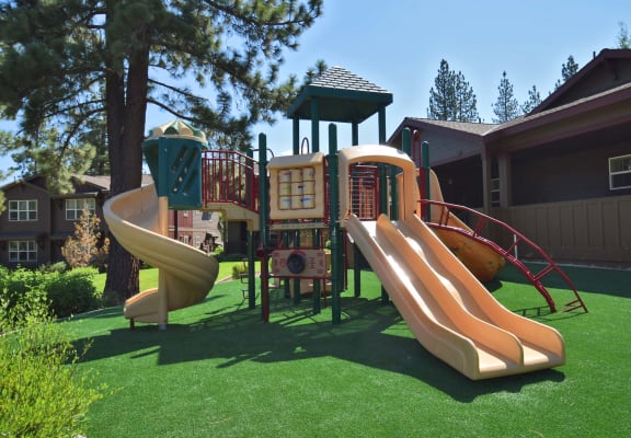 a playground with a playset and slides in a yard